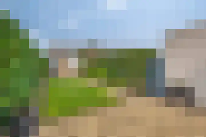 Groen van Prinstererlaan 135 's-Hertogenbosch thumbnail 9
