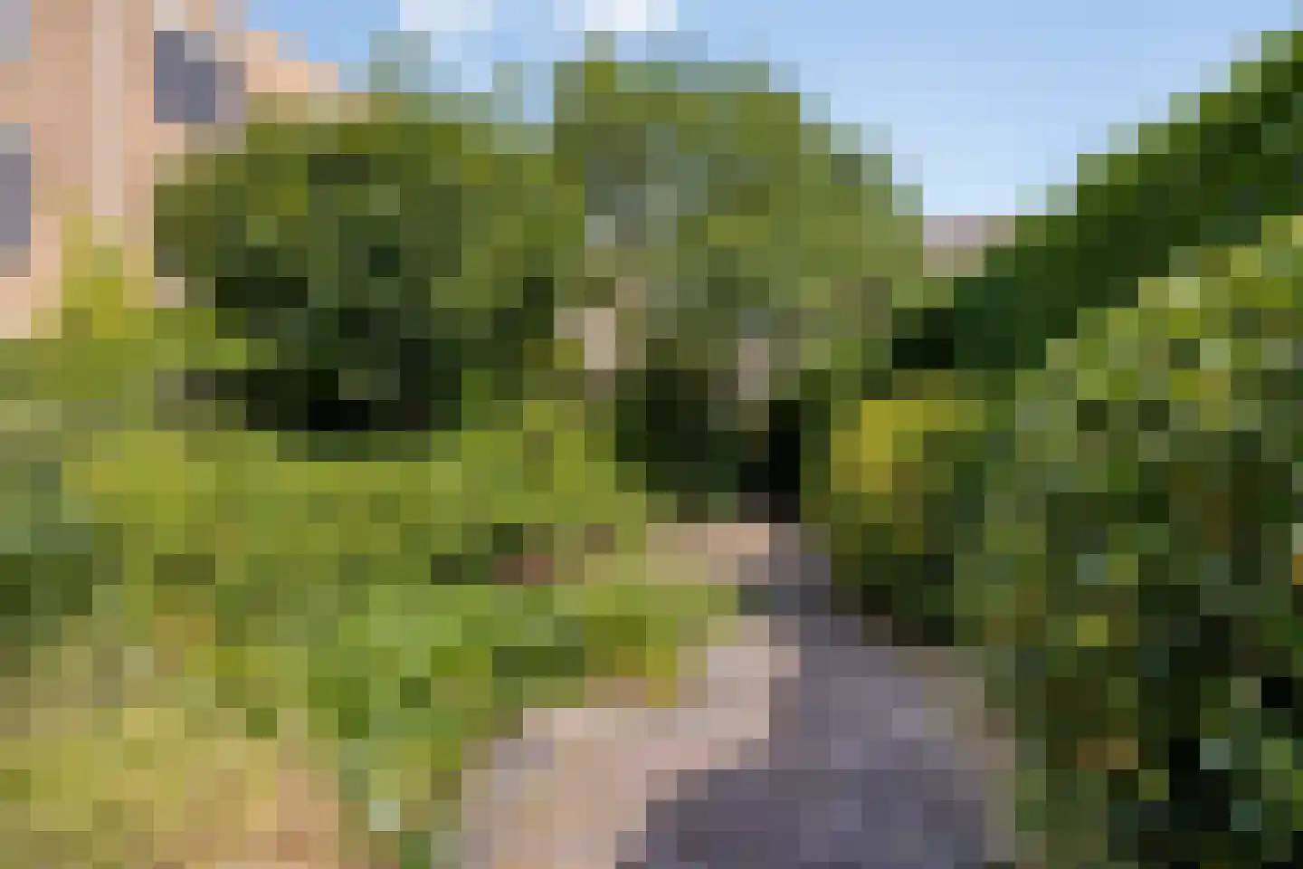 Groen van Prinstererlaan 137 's-Hertogenbosch thumbnail 9