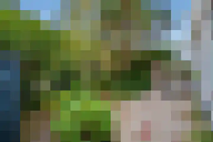 Groen van Prinstererlaan 14 Voorburg thumbnail 15