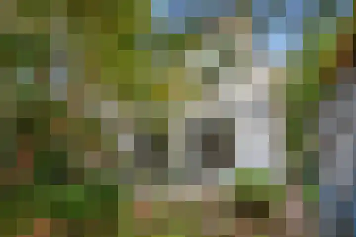 Groen van Prinstererlaan 14 Voorburg thumbnail 17