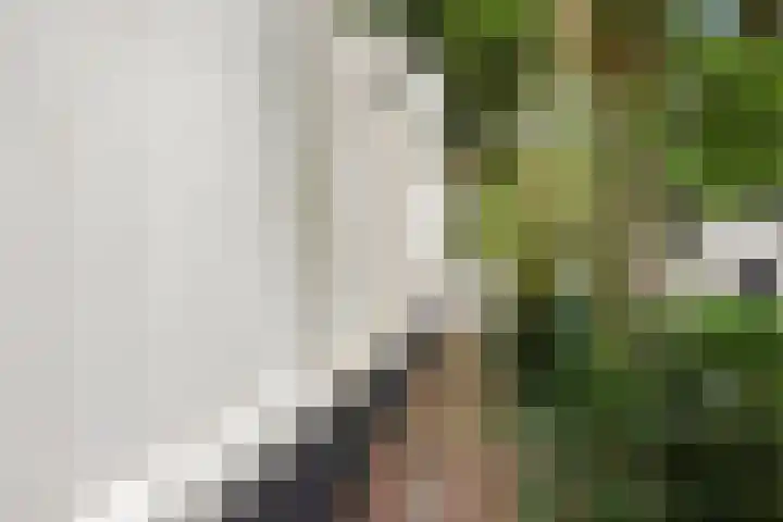 Groen van Prinstererlaan 14 Voorburg thumbnail 18