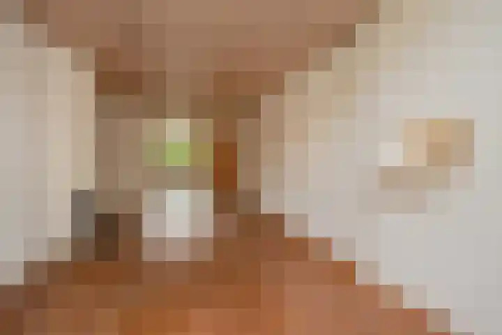 Groen van Prinstererlaan 14 Voorburg thumbnail 20