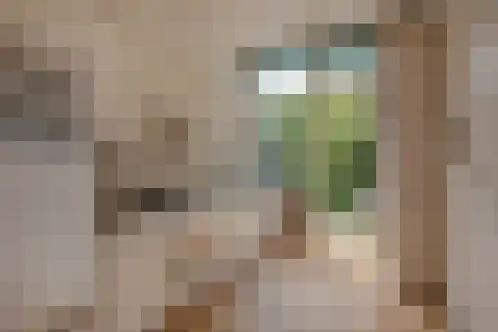 Groen van Prinstererlaan 14 Voorburg thumbnail 21