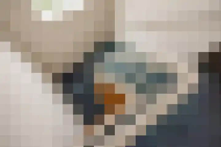 Groen van Prinstererlaan 14 Voorburg thumbnail 25