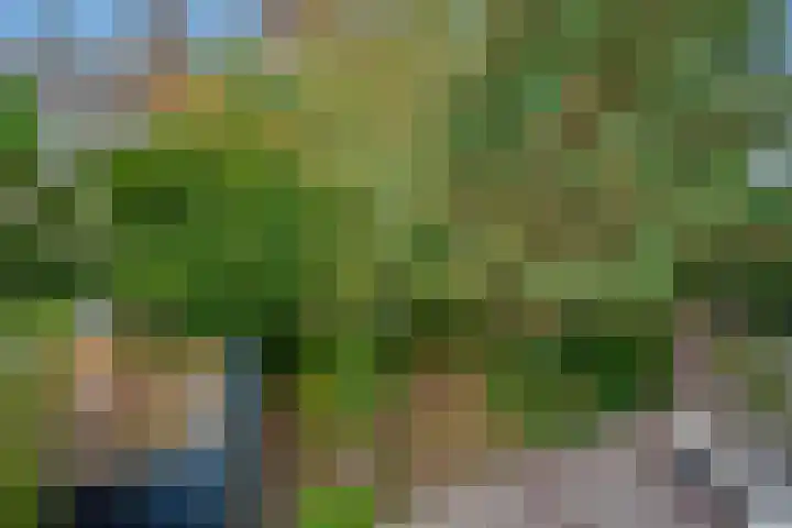 Groen van Prinstererlaan 14 Voorburg thumbnail 32