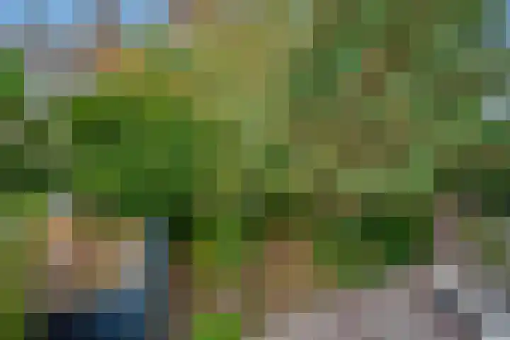 Groen van Prinstererlaan 14 Voorburg thumbnail 4