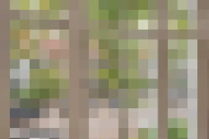 Groen van Prinstererlaan 14 Voorburg thumbnail 41