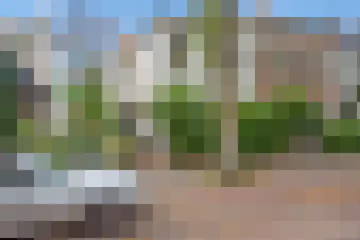 Groen van Prinstererlaan 14 Voorburg thumbnail 45