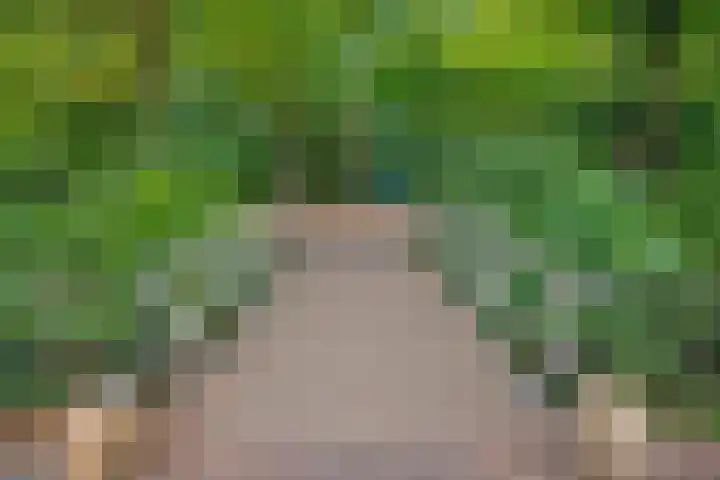 Groen van Prinstererlaan 14 Voorburg thumbnail 47