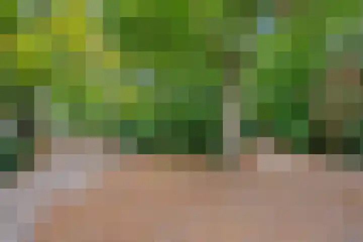 Groen van Prinstererlaan 14 Voorburg thumbnail 48