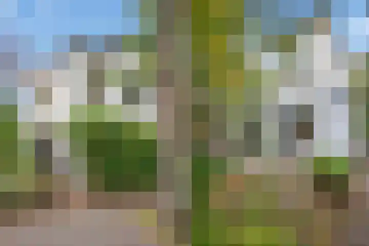 Groen van Prinstererlaan 14 Voorburg thumbnail 50
