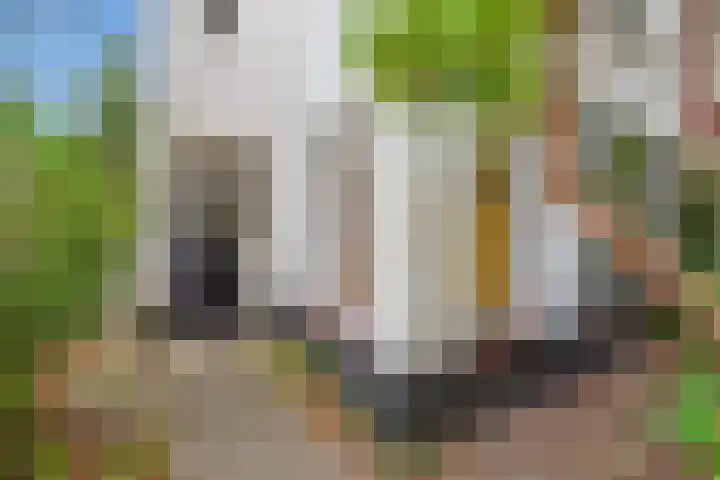 Groen van Prinstererlaan 14 Voorburg thumbnail 6