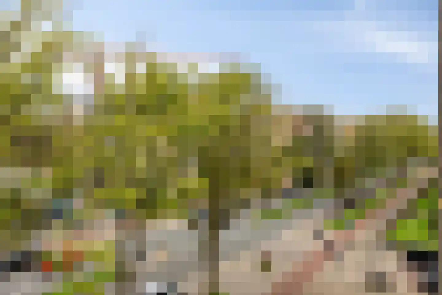 Groen van Prinstererlaan 15 Den Haag thumbnail 27
