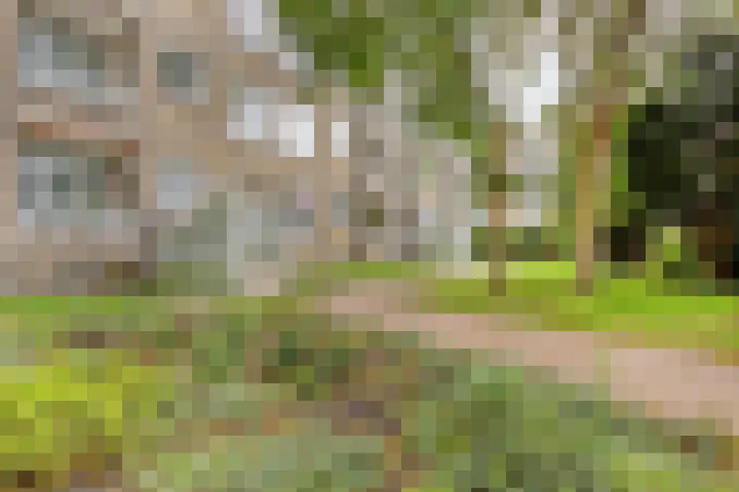 Groen van Prinstererlaan 15 Den Haag thumbnail 28