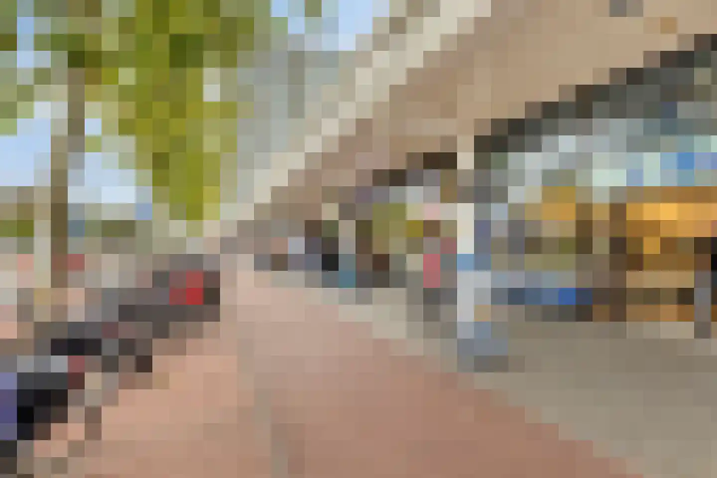 Groen van Prinstererlaan 15 Den Haag thumbnail 31