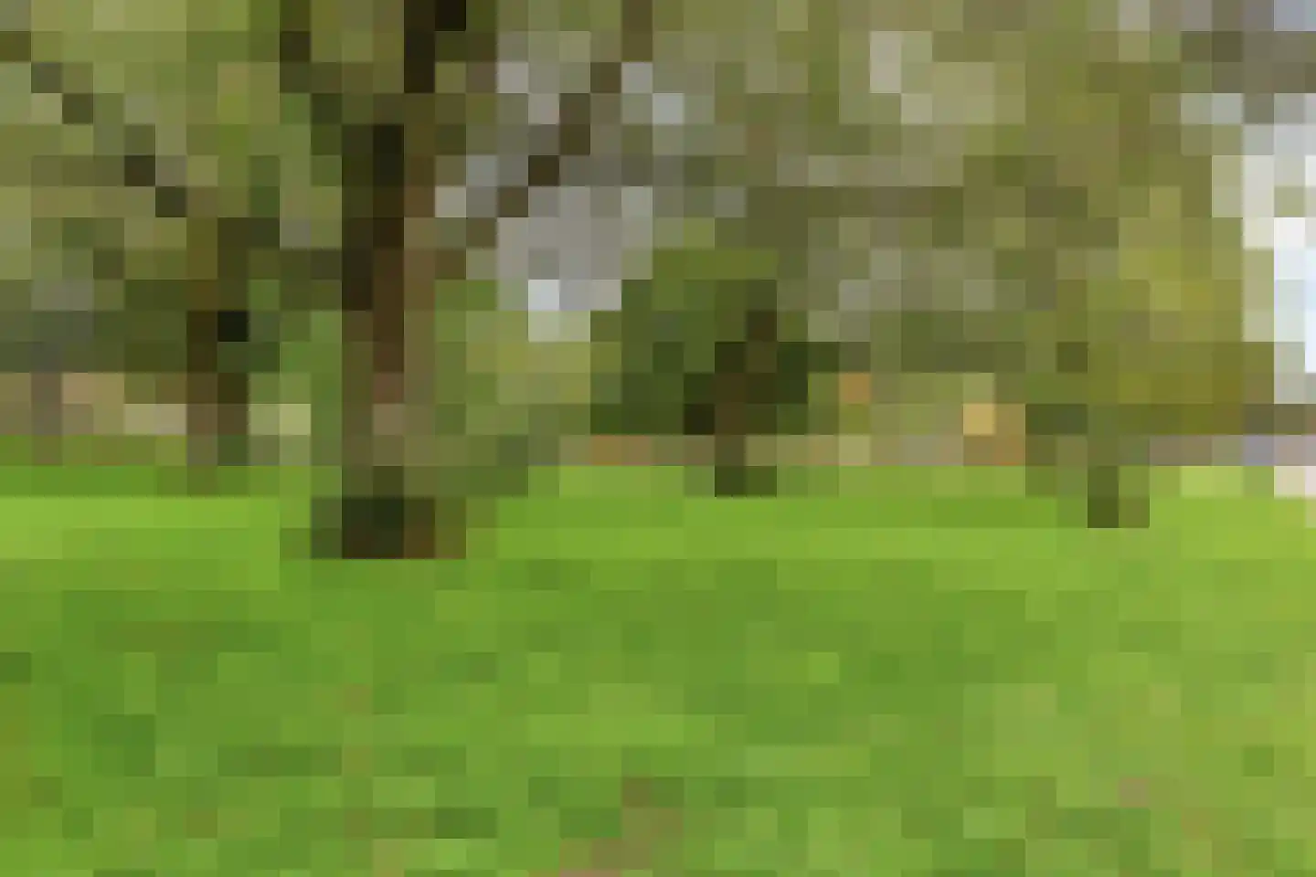 Groen van Prinstererlaan 15 Den Haag thumbnail 33