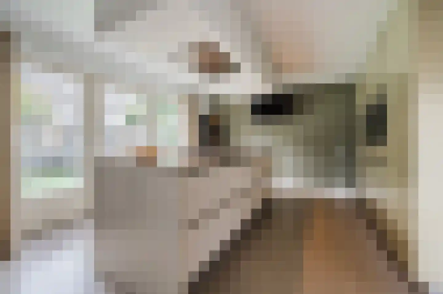 Groen van Prinstererlaan 15 Veghel thumbnail 20