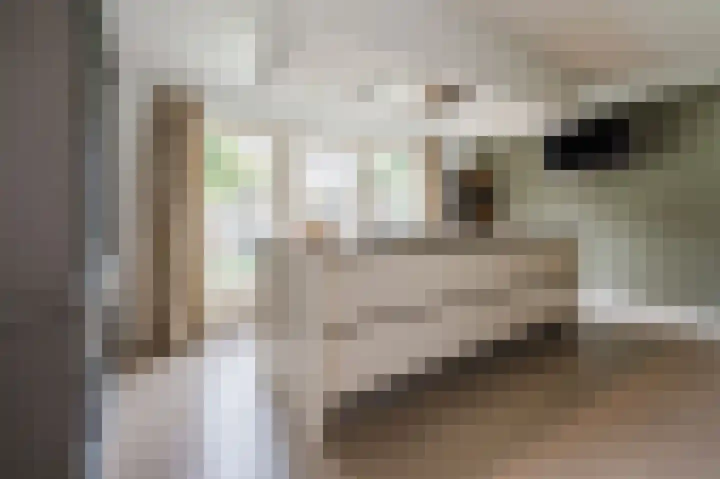Groen van Prinstererlaan 15 Veghel thumbnail 21