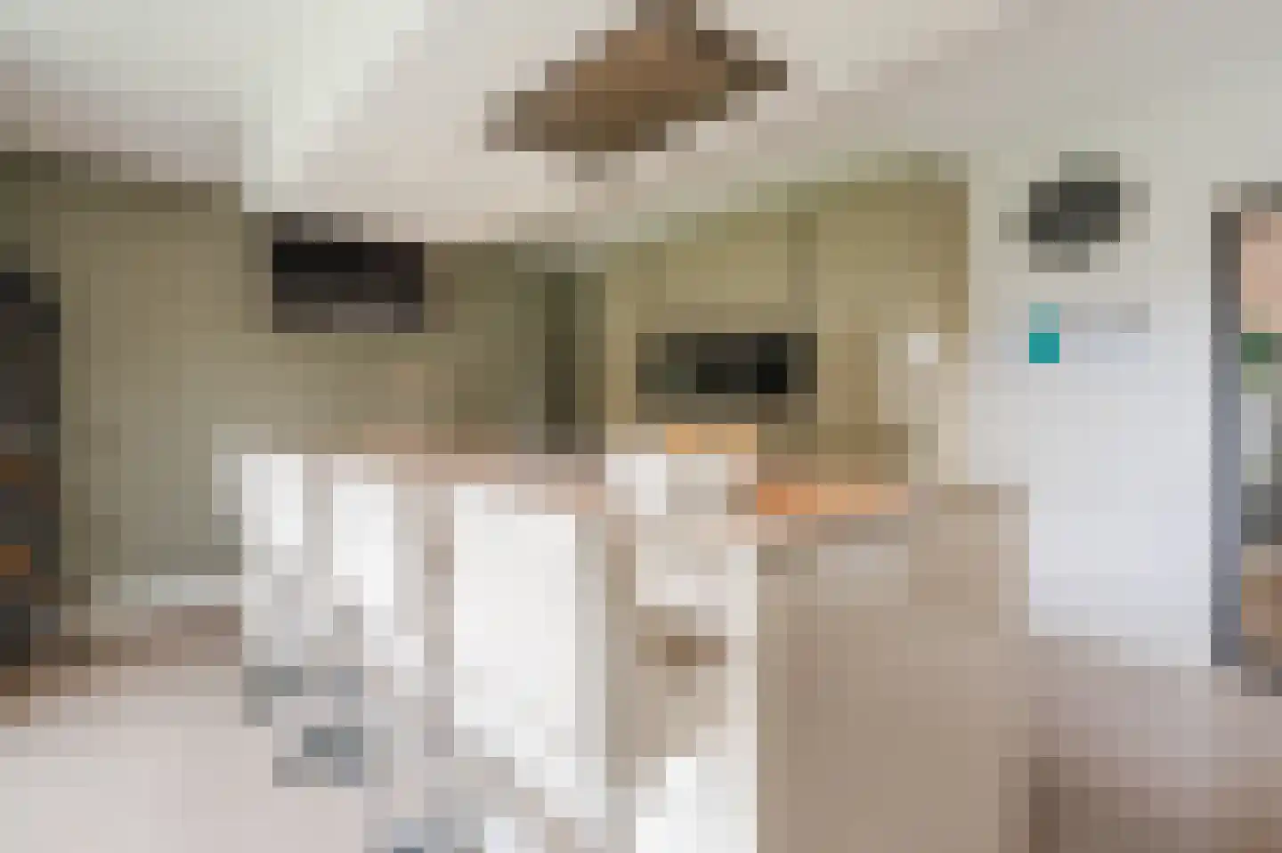 Groen van Prinstererlaan 15 Veghel thumbnail 22
