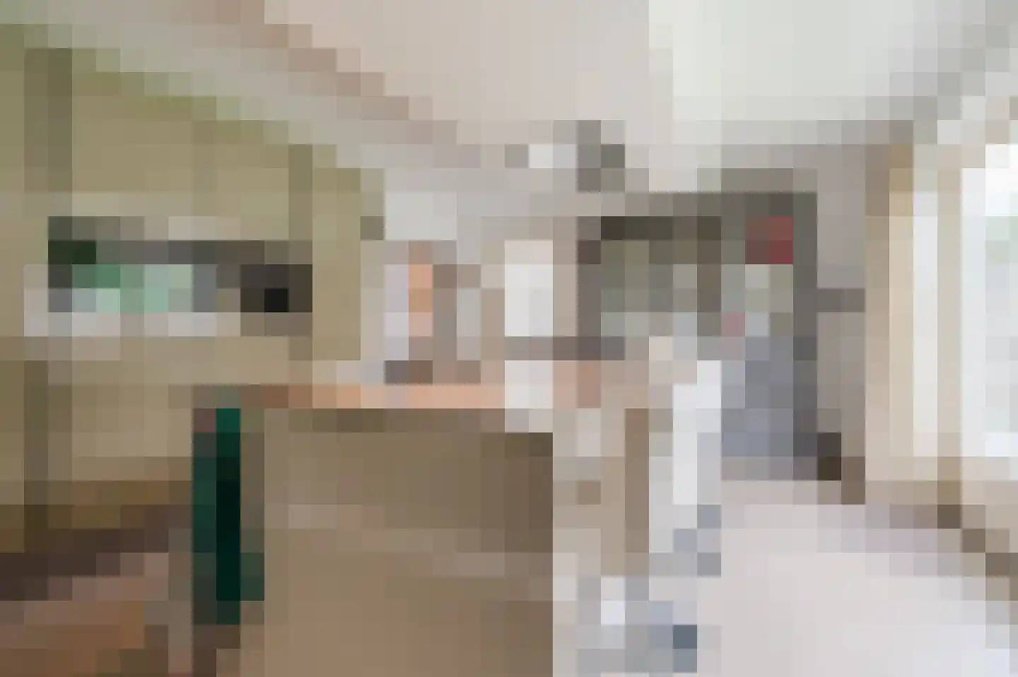 Groen van Prinstererlaan 15 Veghel thumbnail 23
