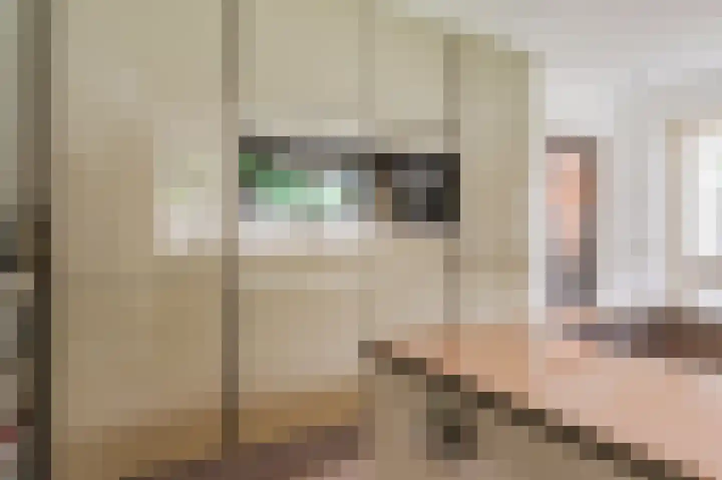 Groen van Prinstererlaan 15 Veghel thumbnail 24
