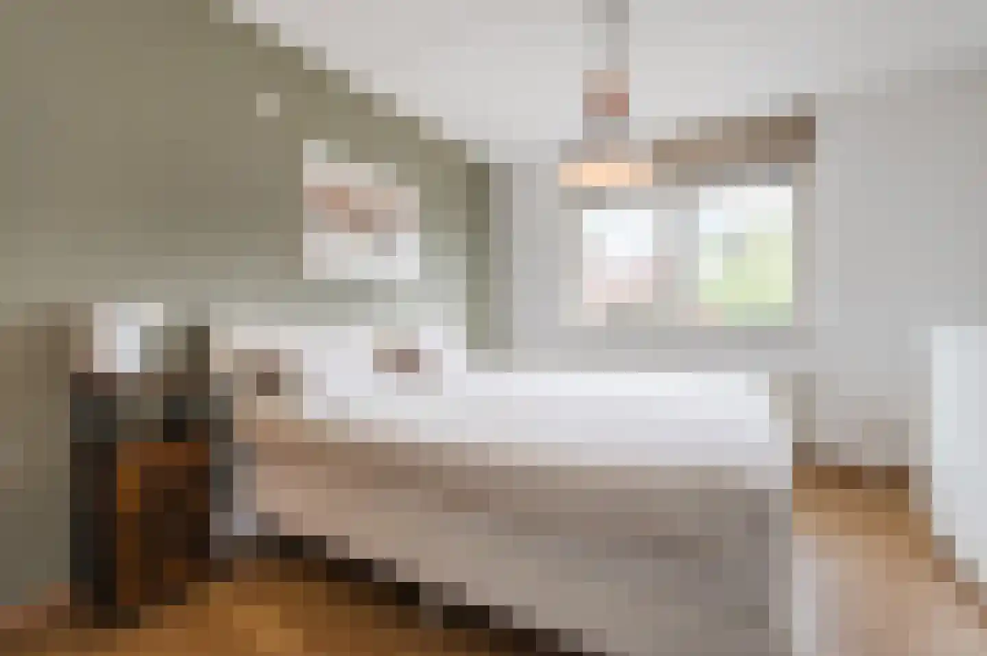 Groen van Prinstererlaan 15 Veghel thumbnail 27