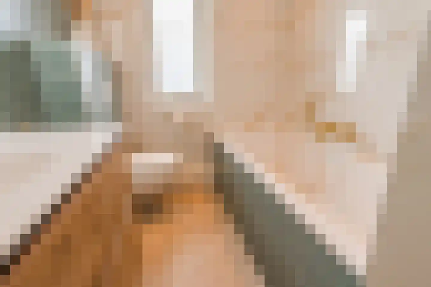 Groen van Prinstererlaan 15 Veghel thumbnail 36