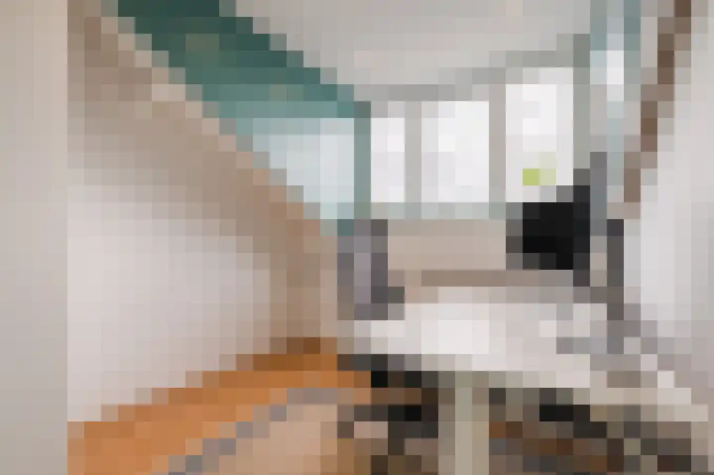 Groen van Prinstererlaan 15 Veghel thumbnail 42