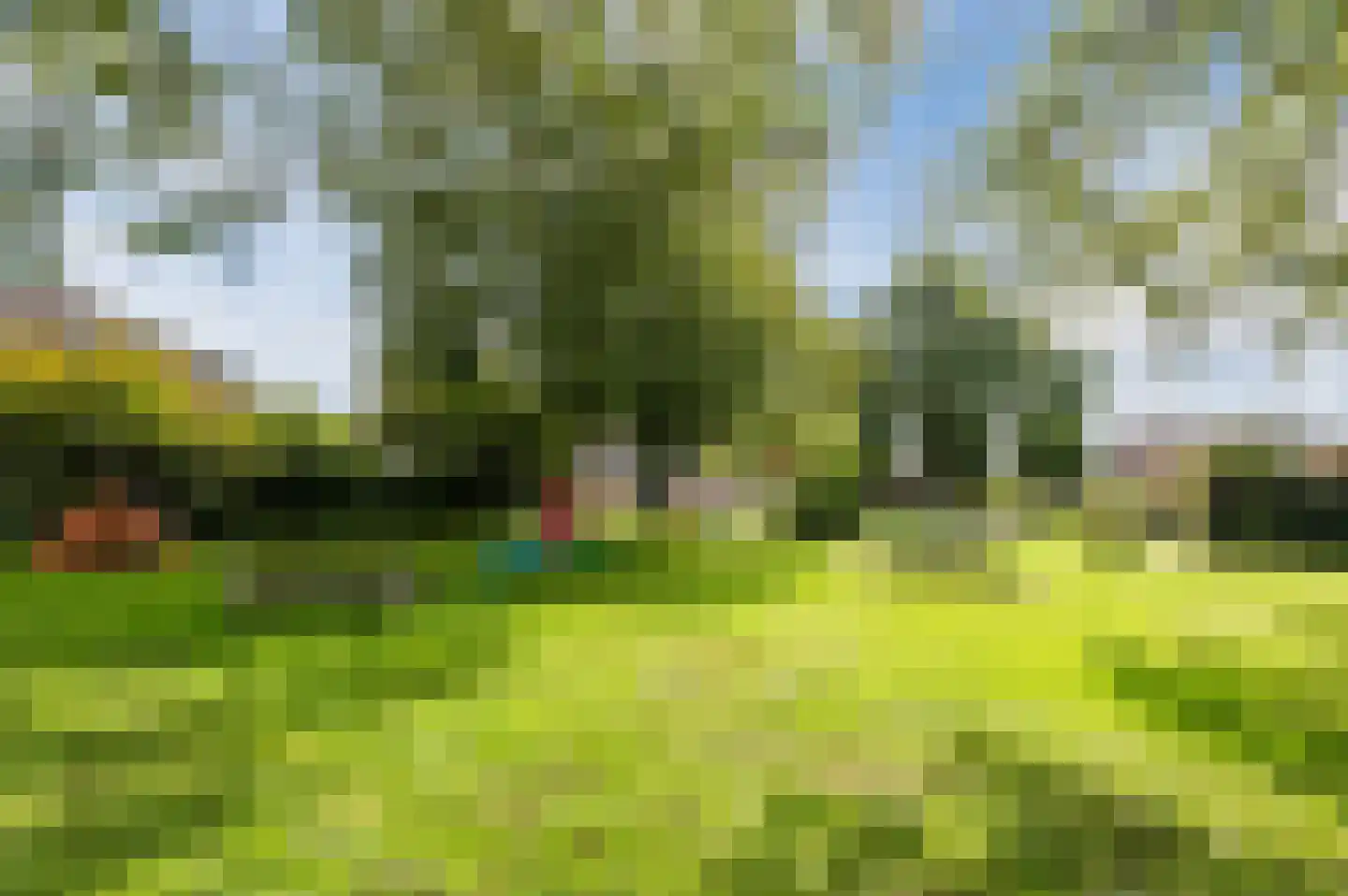 Groen van Prinstererlaan 15 Veghel thumbnail 49