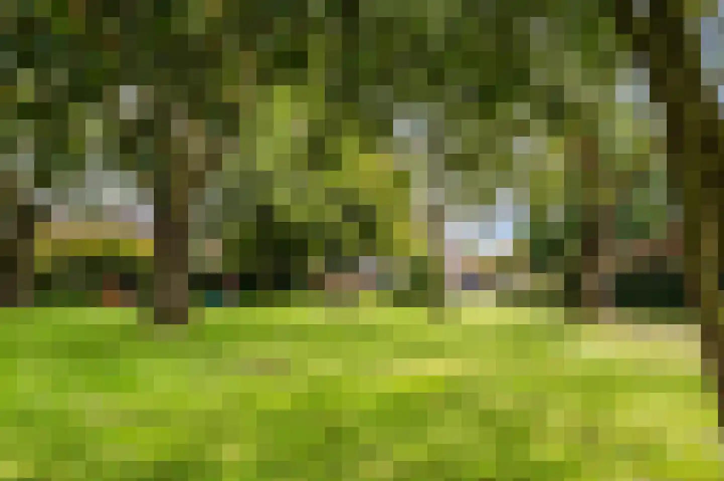 Groen van Prinstererlaan 15 Veghel thumbnail 50