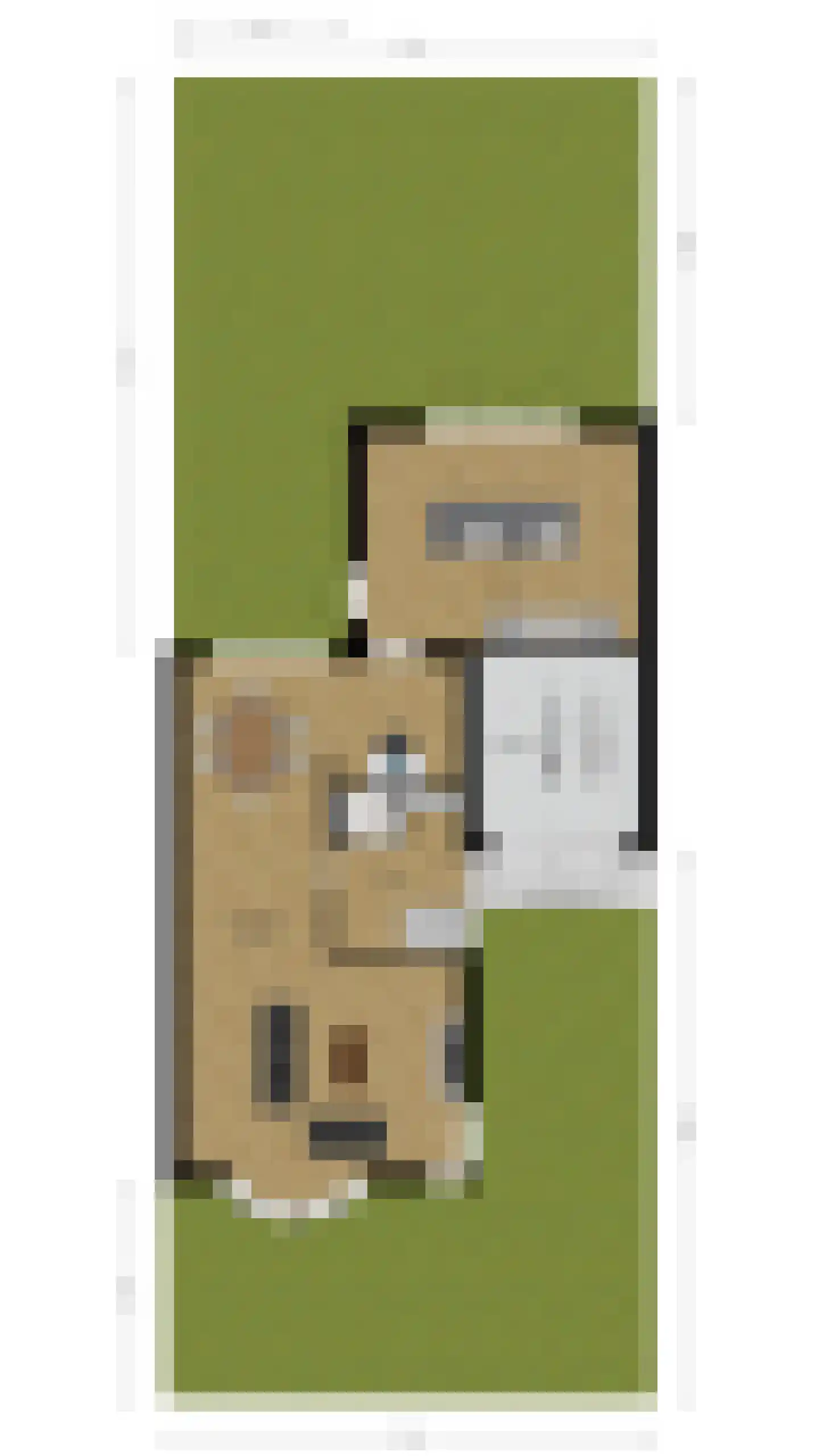 Groen van Prinstererlaan 15 Veghel thumbnail 51
