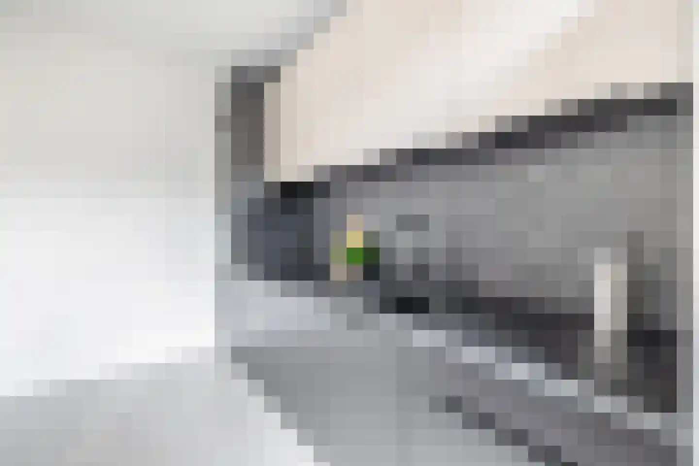 Groen van Prinstererlaan 15 Waalwijk thumbnail 12
