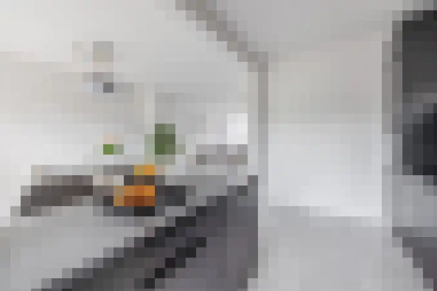 Groen van Prinstererlaan 15 Waalwijk thumbnail 13