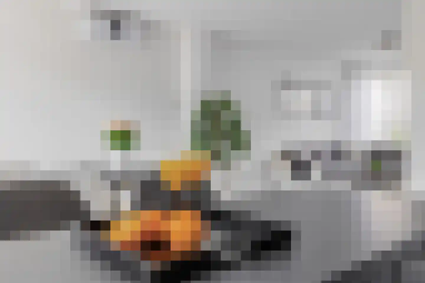 Groen van Prinstererlaan 15 Waalwijk thumbnail 14