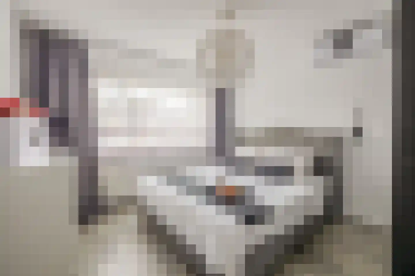 Groen van Prinstererlaan 15 Waalwijk thumbnail 23