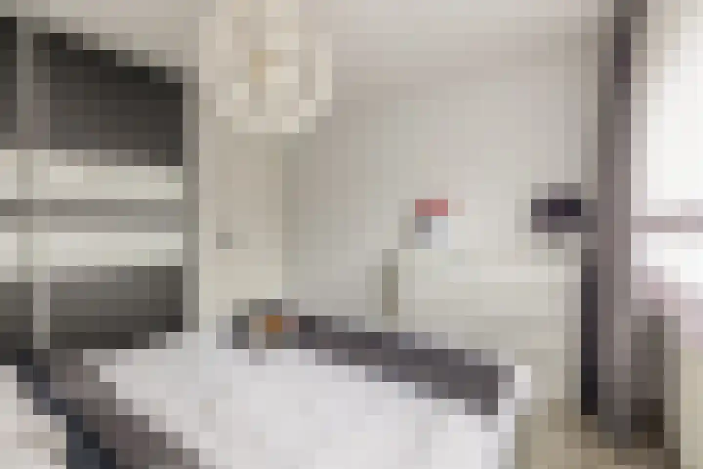 Groen van Prinstererlaan 15 Waalwijk thumbnail 24
