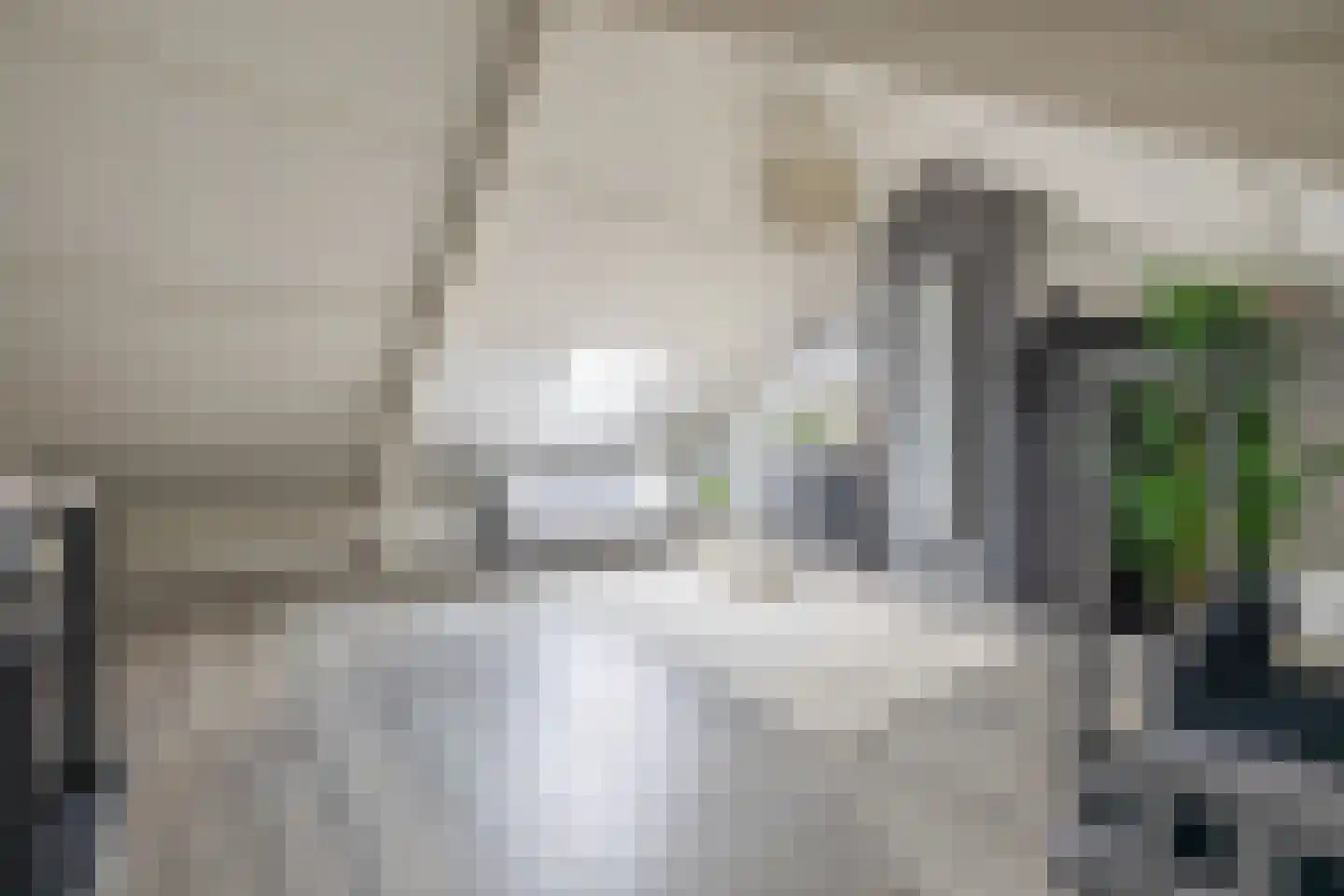 Groen van Prinstererlaan 15 Waalwijk thumbnail 29