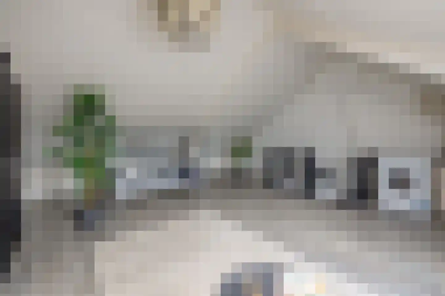 Groen van Prinstererlaan 15 Waalwijk thumbnail 30