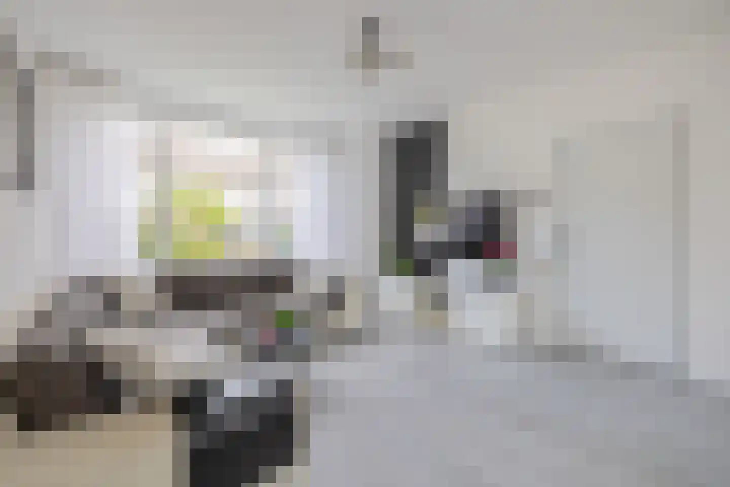Groen van Prinstererlaan 15 Waalwijk thumbnail 7