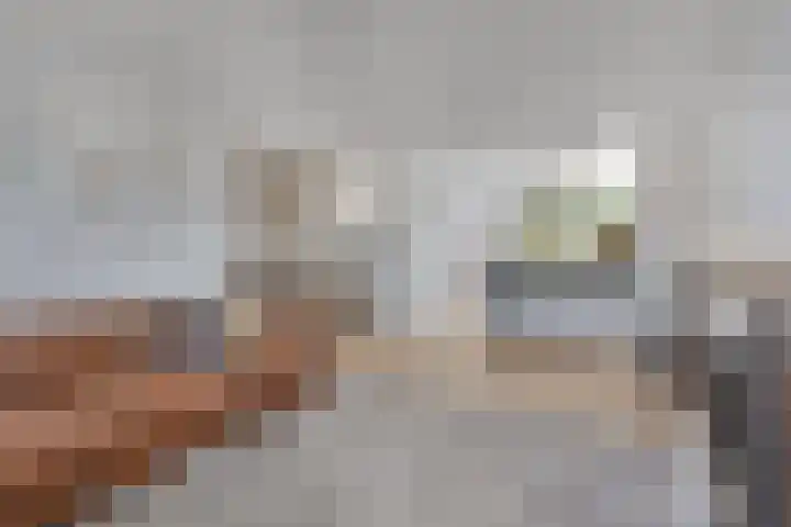 Groen van Prinstererlaan 16 Veghel thumbnail 11