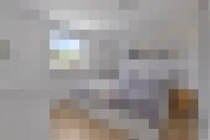 Groen van Prinstererlaan 16 Veghel thumbnail 18