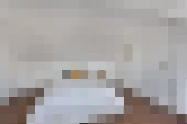Groen van Prinstererlaan 16 Veghel thumbnail 26