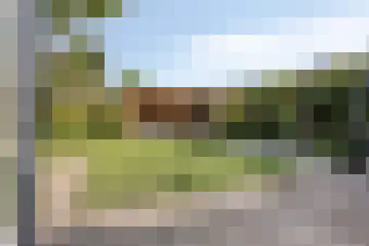 Groen van Prinstererlaan 16 Veghel thumbnail 28