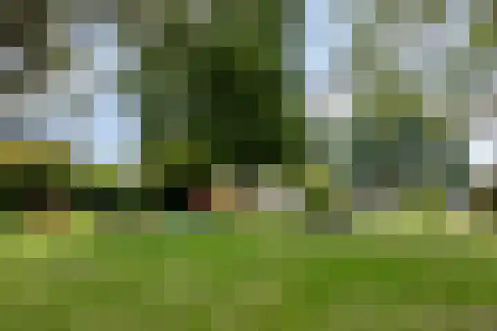 Groen van Prinstererlaan 16 Veghel thumbnail 32