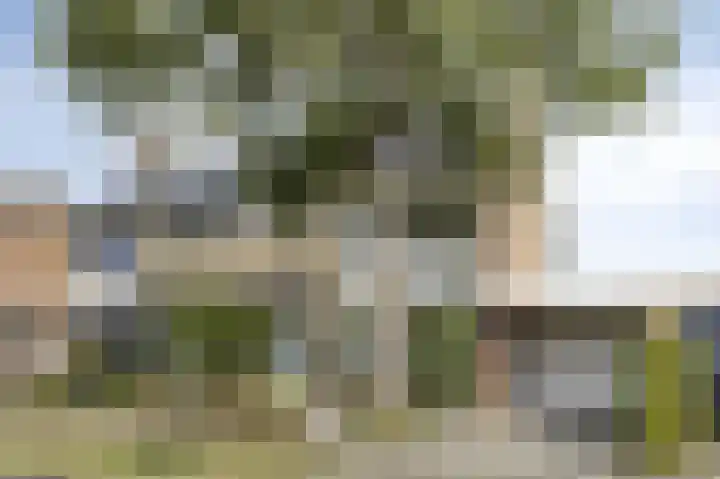 Groen van Prinstererlaan 16 Veghel thumbnail 38