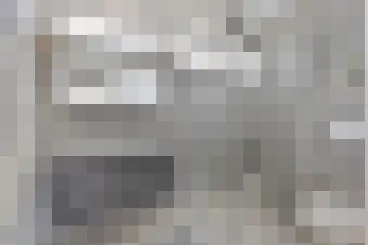 Groen van Prinstererlaan 16 Veghel thumbnail 5