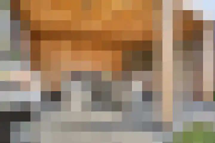 Groen van Prinstererlaan 16 Veghel thumbnail 6