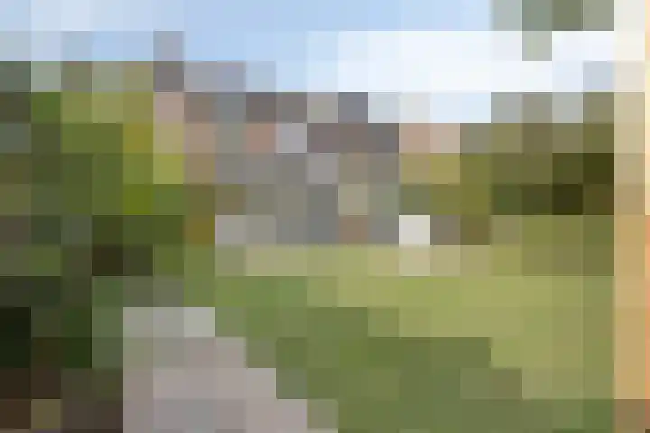 Groen van Prinstererlaan 16 Veghel thumbnail 7