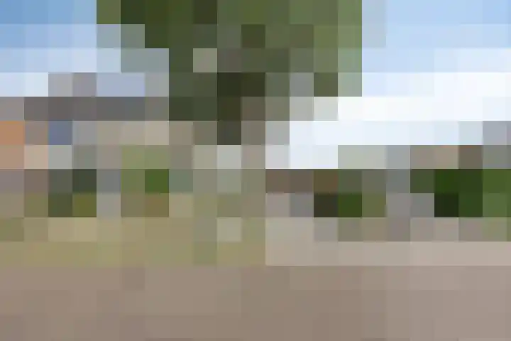 Groen van Prinstererlaan 16 Veghel thumbnail 8