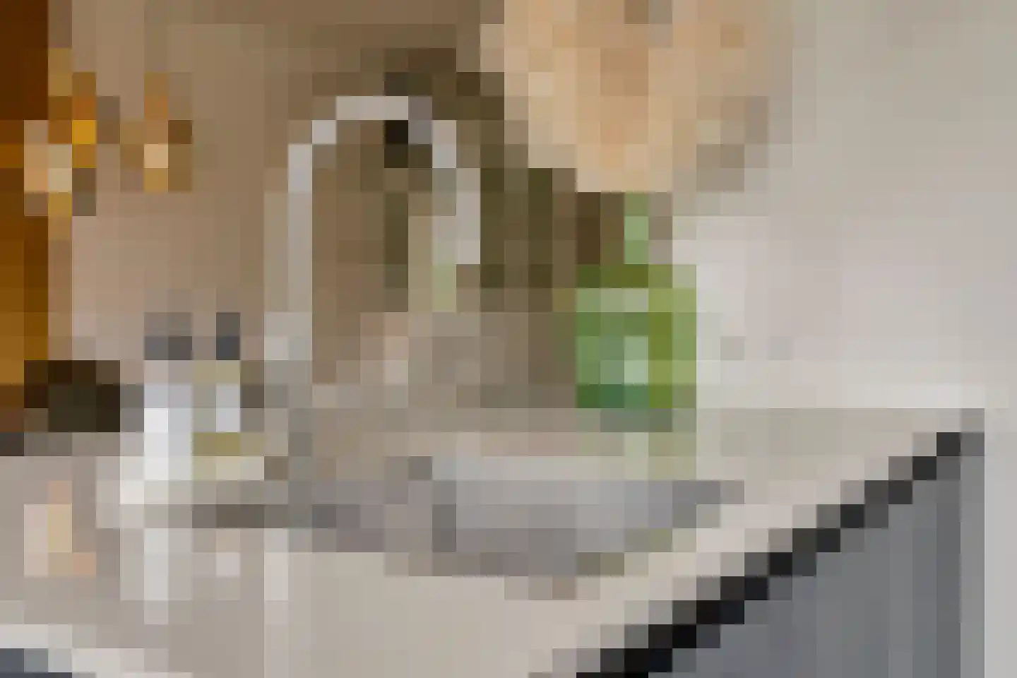 Groen van Prinstererlaan 16 Vlijmen thumbnail 22